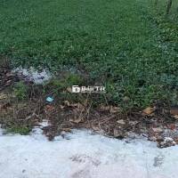 Cần Bán Gấp Lô Đất 2500m² Giá 18.2 Tỷ Ngay Chung Cư Picity, UBND P. Thạnh Xuân  