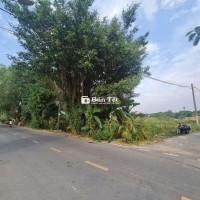 ĐẤT MẶT TIỀN NHỊ BÌNH 3 - KHU VỰC PHÁT TRIỂN ĐỘT PHÁ!