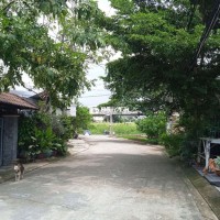 Cơ hội vàng!  Đất nền Nhà Bè - Vị trí kim cương, giá hời khó cưỡng!