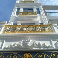 Cơ hội vàng sở hữu biệt thự 3 tầng siêu đẹp, vị trí kim cương ngay trung tâm Sài Gòn!