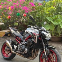 Kawasaki Z900 2019 – Sự lựa chọn hoàn hảo cho các tín đồ tốc độ  