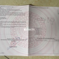 Bán Đất Đường Tỉnh Lộ 10 - Vị Trí Vàng, Tiềm Năng Kinh Doanh Đa Dạng!  
