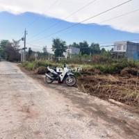 Cơ Hội Vàng! Đất Thổ Cư Ngay Trung Tâm Đức Hoà - Chỉ 1 Tỷ 5!