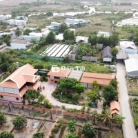 Bán đất làm nhà vườn tại NT, giá từ 700 triệu đến 25 tỷ cho 1000m² đất sạch, bình yên đồng quê