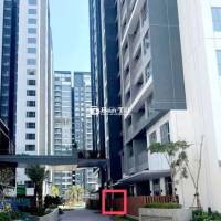 ## Celestarise - Mộng Giấc Sân Vườn giữa Thành Thị - Chỉ 7.5 Tỷ!