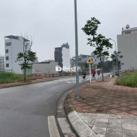 CẦN BÁN ĐẤT ĐẤU GIÁ CỰ KHỐI LONG BIÊN HÀ NỘI.