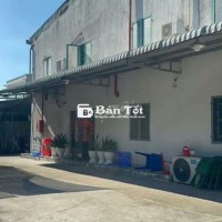 Bán Gấp Xưởng Full Thổ Cư 2000m2 Tại Tân Thạnh Tây, Củ Chi  