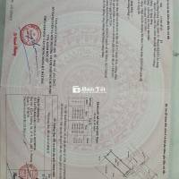 🔥 BÁN GẤP 3 LÔ ĐẤT LIỀN KỀ HẼM 109 TÔ KÝ - NGAY NGÃ TƯ CHỢ CẦU 🔥  