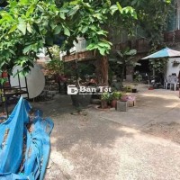 Mặt Tiền THỐNG NHẤT - 600m² - KHỦNG -  Chỉ 55 Triệu/Tháng!