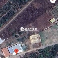 BÁN NHÀ KÈM RẪY CÀ PHÊ 12.378M2 - THỔ CƯ 400M2 - THU NHẬP ỔN ĐỊNH!  