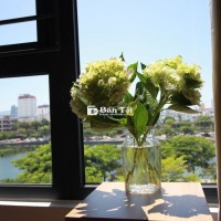 CẦN GẤP! STUDIO & 1PN VIEW ĐẸP - NGAY CẦU RỒNG! 🔥