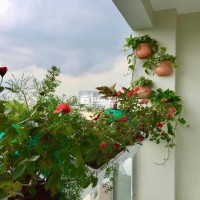 Thuê Sunny Plaza Phạm Văn Đồng 2PN Full NT Ưu Tiên Gia Đình  
