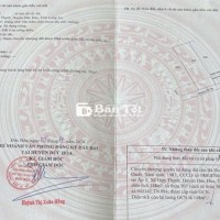 Cần Tiền Trả Nợ, Bán Gấp Lô Đất Trường Đại Học Tân Tạo - Giá Tốt, Vị Trí Đắc Địa!
