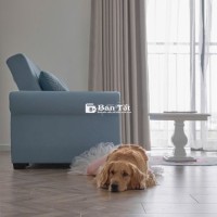 TIÊU ĐỀ:  