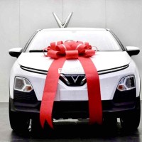 VF5 – XE XỊN, GIÁ NHẸ, VAY DỄ, KIẾM TIỀN CỰC LỜI!