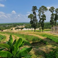 BÁN GẤP ĐẤT GẦN HỒ TRỊ AN - THIÊN ĐƯỜNG NGHỈ DƯỠNG GIỮA LÒNG THIÊN NHIÊN 🌿  