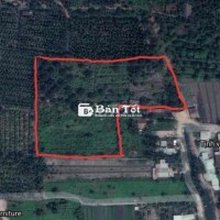 CƠ HỘI VÀNG - 1,2 HA ĐẤT KHỦNG GIÁ SỐC TẠI NHỊ BÌNH 19, HÓC MÔN!