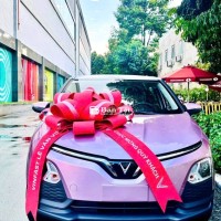 🔥 TIỀN CHẤT SỐNG KO TƯỜNG KHI ĐK VF5 VỚI 95 TRIỆU ĐỒNG! 🔥