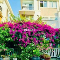 Cần Bán Nhà Phố Sang Trọng Đầy Tâm Huyết  
