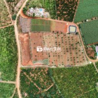 SIÊU PHẨM ĐẤT 1,2 HA - MÊ LINH - LÂM HÀ - LÂM ĐỒNG - GIÁ CHỈ 4.6 TỶ!
