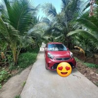 SỐC - 264M² ĐẤT Ở - 75M² THỔ CƯ - GIÁ CHỈ 600 TRIỆU!