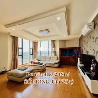 SIÊU PHẨM PENTHOUSE 195M² - 238M² GIÁ SỐC - VIEW ĐỈNH -  3KM GA T3 SÂN BAY!