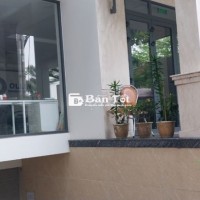 Cho Thuê Biệt Thự Có Hầm, Thang Máy KDC Trung Sơn Bình Chánh - Vị Trí Đắc Địa, Diện Tích Rộng, Giá Hợp Lý!