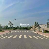 Bán Đất 55 Tây Lân – Diện Tích 4x20m – Đường Nhựa 20m – Sổ Hồng Chính Chủ – Xây Dựng Tự Do – Dân Cư Hiện Hữu – Gần Ngân Hàng Tiện Lợi  