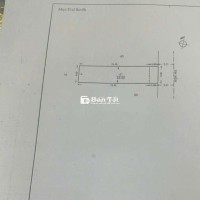 Bán Nhà Hẻm 4m Đường Ni Sư Huỳnh Liên, P.10, Tân Bình - Giá Siêu Hời!