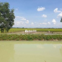 ĐẤT VƯỜN CỦ CHI – NGAY KÊNH N25 – SỐNG ƯỚC MƠ NGAY BÂY GIỜ!