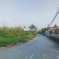 BÁN GẤP 1000M2 ĐẤT Ở NHỊ BÌNH - Cơ Hội Đầu Tư VÀNG!