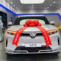 VF9 BAO ĐẬU NỢ XẤU NHÓM 5 CẢ DOANH NGHIỆP-VAY 100%
