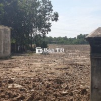 BÁN GẤP 1 HA ĐẤT PHÚ HÒA ĐÔNG, CỦ CHI – GIÁ SIÊU HỜI 2,8TR/M2, TÁCH LÔ LINH HOẠT!  