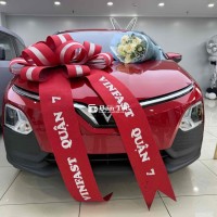 VINFAST VF5 ĐỦ MÀU - GIAO NGAY! CHỈ 95 TRIỆU - NHẬN XE NGAY!