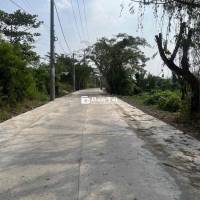 ĐẤT MẶT TIỀN XƯƠNG CÁ 1 - 1000M2 - BIỆT THỰ VƯỜN NGAY KỀ TRƯỜNG VIỆT MỸ!