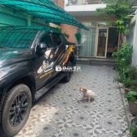 Cơ hội vàng! Mặt tiền đường 439, Quận 12 - Biệt thự 3 tầng giá chỉ 6 tỷ 6 (còn thương lượng!)