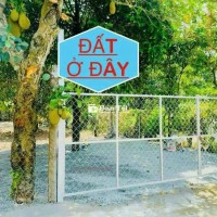 BÁN ĐẤT VƯỜN BÌNH NHÂM - CƠ HỘI VÀNG KHÔNG THỂ BỎ LỠ!