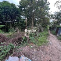 Cơ Hội Vàng - 4 Công Ruộng Vị Trí Vàng Châu Đốc!