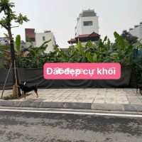 CẦN BÁN ĐẤT CỰ KHỐI LONG BIÊN - Cơ Hội Vàng Đầu Tư Không Thể Bỏ Lỡ!