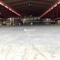 KHO XƯỞNG ĐẸP MỚI XÂY Y HÌNH(70000m2)PCCC,TRẠM 2000KVA,QL1A,THỦ THỪA