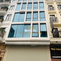 Cho Thuê Nhà MT Trương Công Định, P.14, Q.TB, 9x20m, Hầm trệt 4 lầu