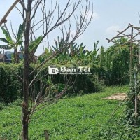 🏡 ĐẤT VÀNG ĐƯỜNG BÌNH MỸ - Ô TÔ THÔNG, XÂY NHÀ VƯỜN LÝ TƯỞNG! 🏡