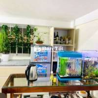 Em gái làm công ty có căn nhà Decor :  545 triệu, toàn quốc mua được