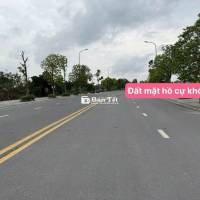 CẦN BÁN ĐẤT ĐẤU GIÁ CỰ KHỐI LONG BIÊN HÀ NỘI.