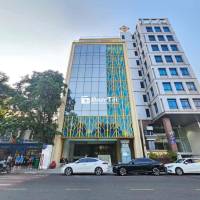 CHO THUÊ TOÀ NHÀ MƠI XÂY TRUNG TÂM QUẬN 1p