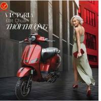 xe xăng 50cc Victoria at88 pro mới 2025