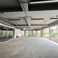 Hot, Vp 250m2 Cống Quỳnh Q1 khu Phố tây- 39tr