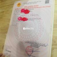 Bán CCMN Hào Nam Mới Đẹp Cao Cấp, Sổ Hồng Mỗi Nhà 1 Bìa. Mặt Ngõ Ô Tô