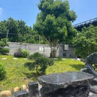 🌿 NHÀ VƯỜN LONG KHÁNH – SỐNG XANH, NGHỈ DƯỠNG MỖI NGÀY 🌿  🏡