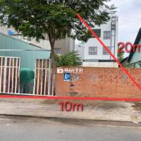 MT Đào Sư Tích (10x20) gần cầu Phước Lộc